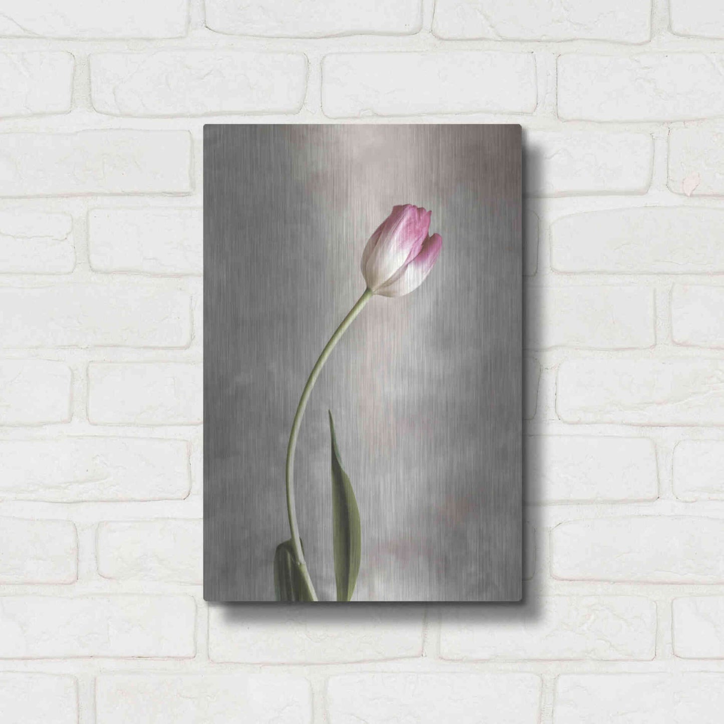 Luxe Metal Art 'Fresh Tulips I' by Debra Van Swearingen, Metal Wall Art,12x16
