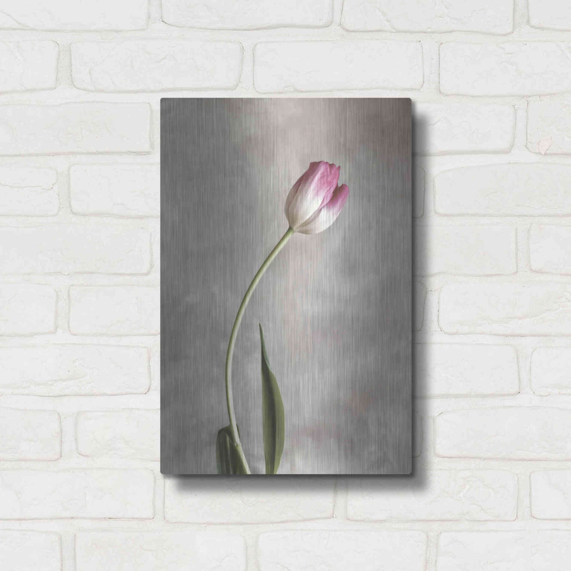 Luxe Metal Art 'Fresh Tulips I' by Debra Van Swearingen, Metal Wall Art,12x16