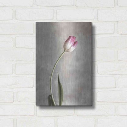 Luxe Metal Art 'Fresh Tulips I' by Debra Van Swearingen, Metal Wall Art,12x16