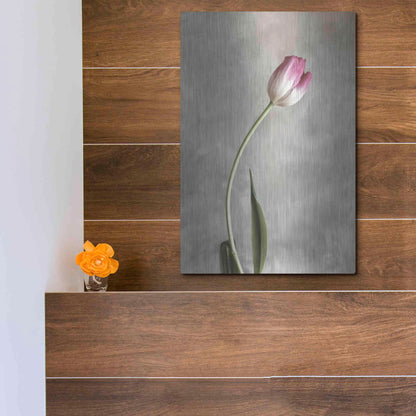 Luxe Metal Art 'Fresh Tulips I' by Debra Van Swearingen, Metal Wall Art,12x16