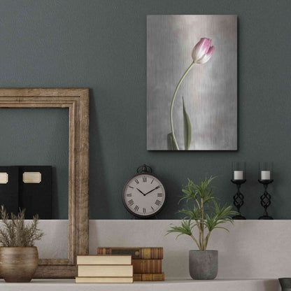 Luxe Metal Art 'Fresh Tulips I' by Debra Van Swearingen, Metal Wall Art,12x16