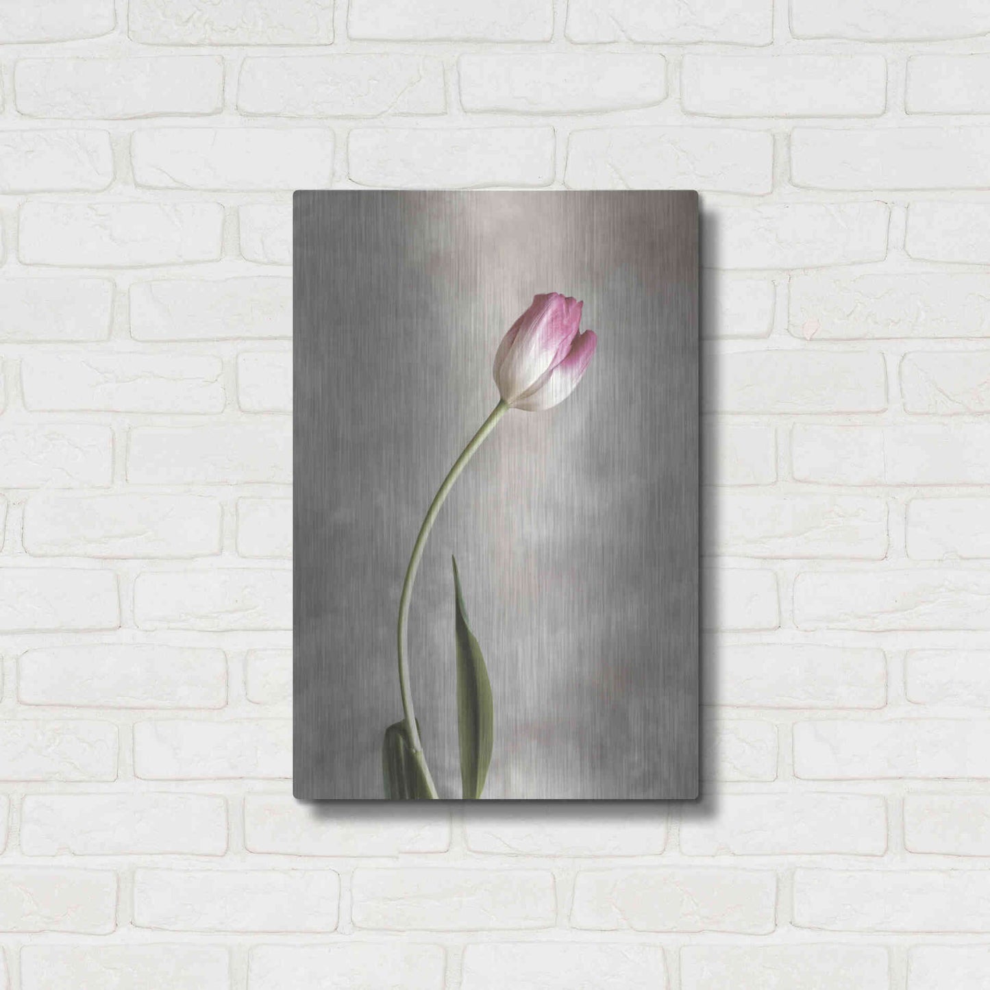 Luxe Metal Art 'Fresh Tulips I' by Debra Van Swearingen, Metal Wall Art,16x24