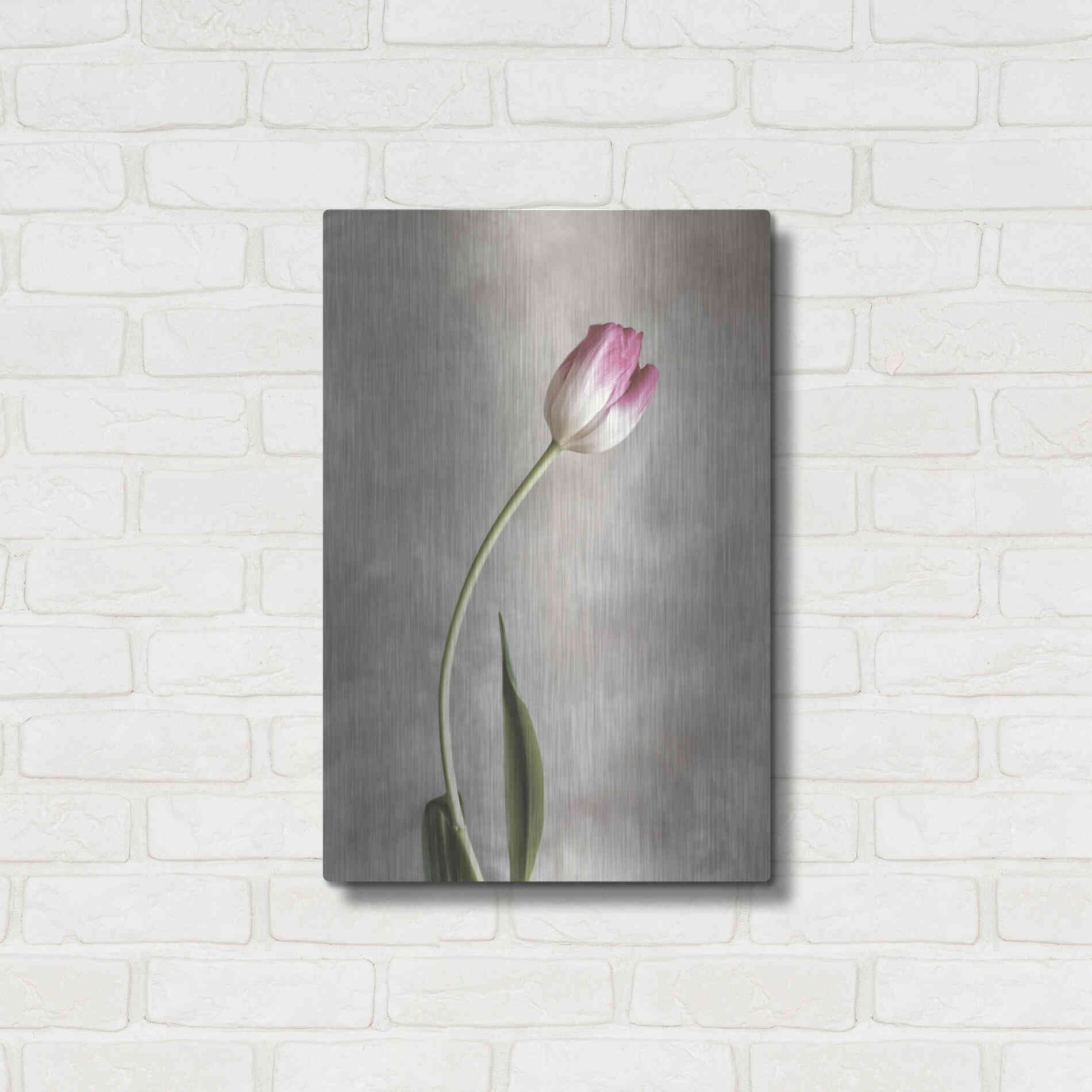 Luxe Metal Art 'Fresh Tulips I' by Debra Van Swearingen, Metal Wall Art,16x24