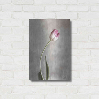 Luxe Metal Art 'Fresh Tulips I' by Debra Van Swearingen, Metal Wall Art,16x24