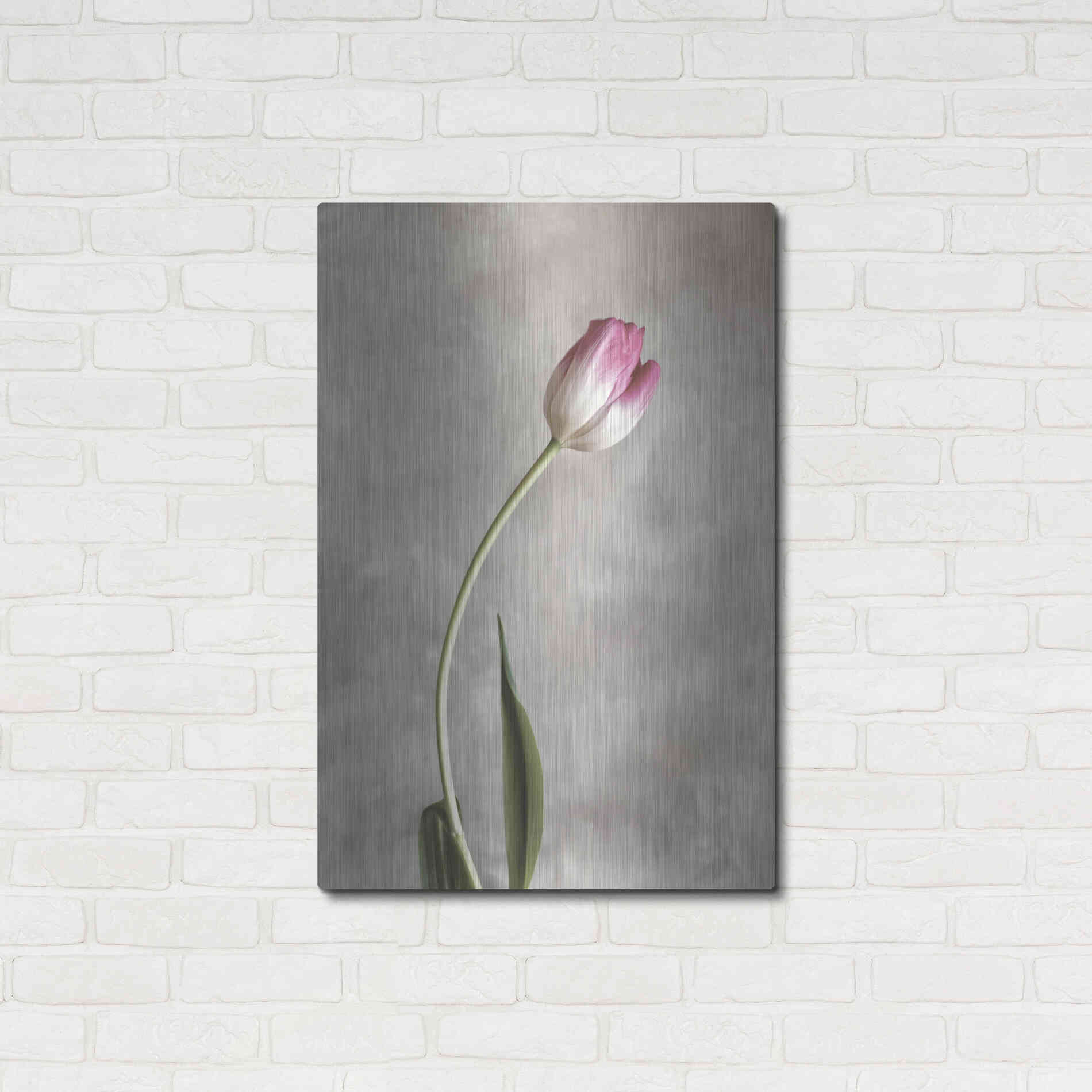 Luxe Metal Art 'Fresh Tulips I' by Debra Van Swearingen, Metal Wall Art,24x36
