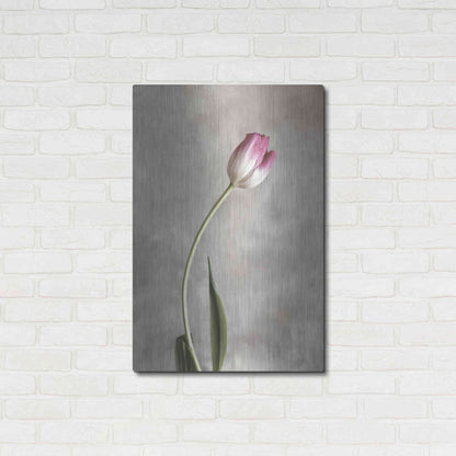 Luxe Metal Art 'Fresh Tulips I' by Debra Van Swearingen, Metal Wall Art,24x36