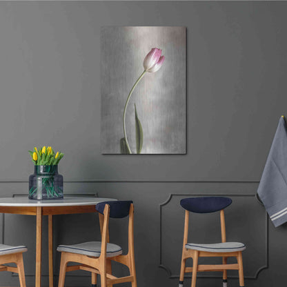 Luxe Metal Art 'Fresh Tulips I' by Debra Van Swearingen, Metal Wall Art,24x36
