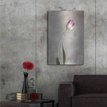 Luxe Metal Art 'Fresh Tulips I' by Debra Van Swearingen, Metal Wall Art,24x36