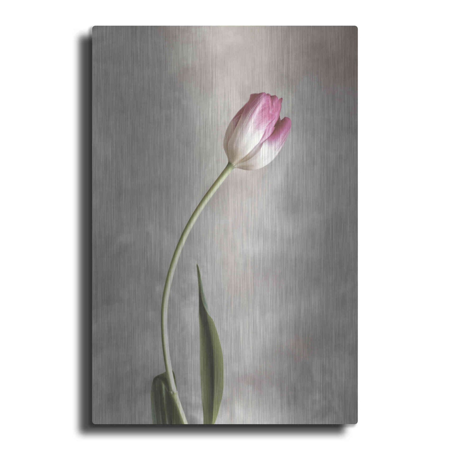 Luxe Metal Art 'Fresh Tulips I' by Debra Van Swearingen, Metal Wall Art