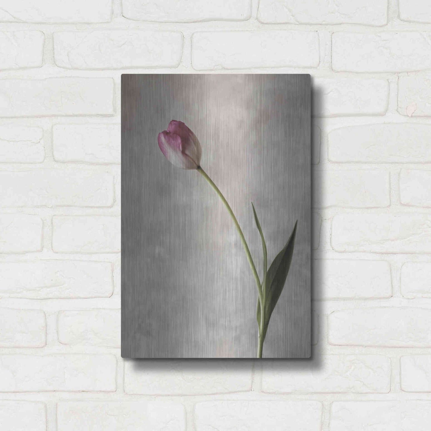 Luxe Metal Art 'Fresh Tulips II' by Debra Van Swearingen, Metal Wall Art,12x16