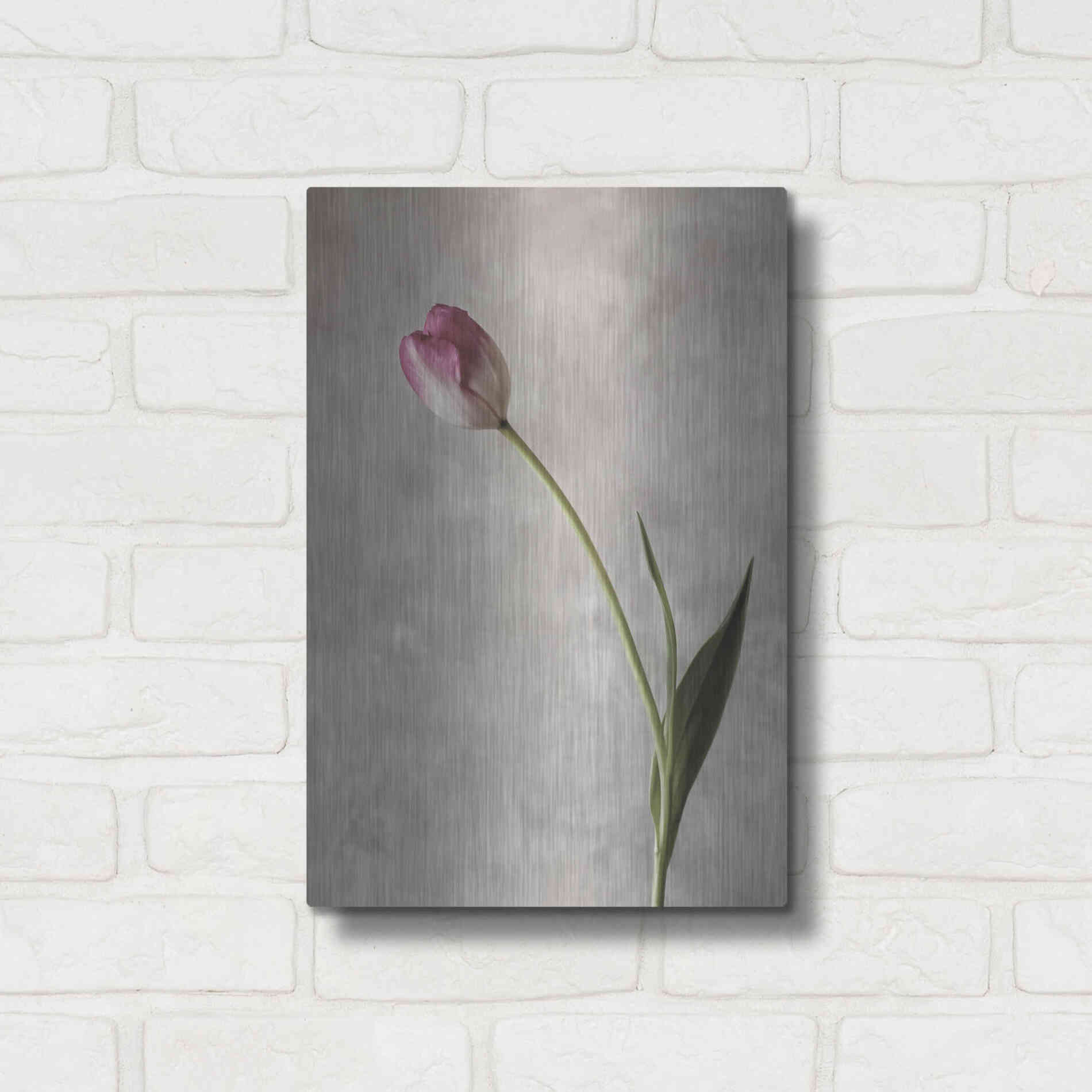 Luxe Metal Art 'Fresh Tulips II' by Debra Van Swearingen, Metal Wall Art,12x16