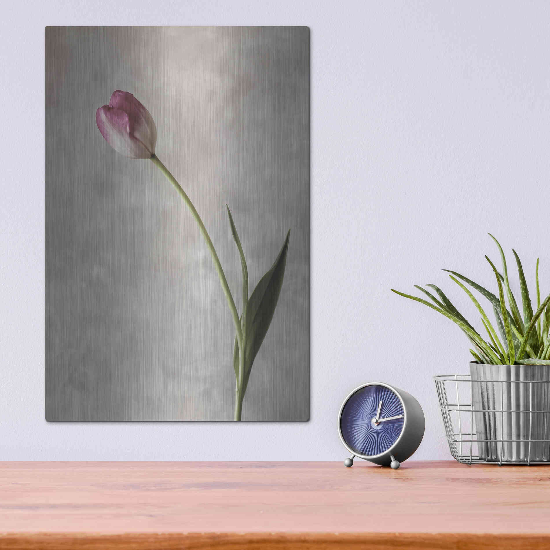 Luxe Metal Art 'Fresh Tulips II' by Debra Van Swearingen, Metal Wall Art,12x16