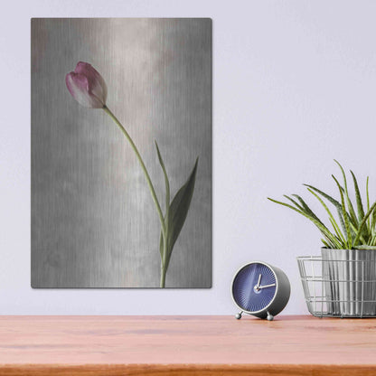 Luxe Metal Art 'Fresh Tulips II' by Debra Van Swearingen, Metal Wall Art,12x16