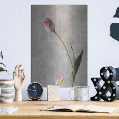 Luxe Metal Art 'Fresh Tulips II' by Debra Van Swearingen, Metal Wall Art,12x16
