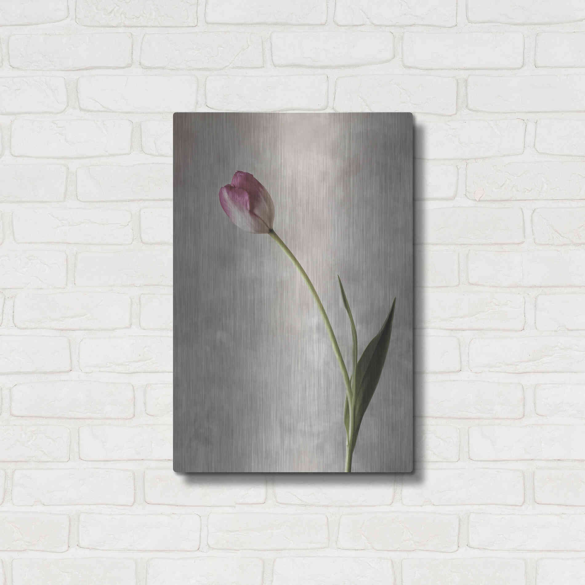 Luxe Metal Art 'Fresh Tulips II' by Debra Van Swearingen, Metal Wall Art,16x24