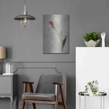 Luxe Metal Art 'Fresh Tulips II' by Debra Van Swearingen, Metal Wall Art,16x24