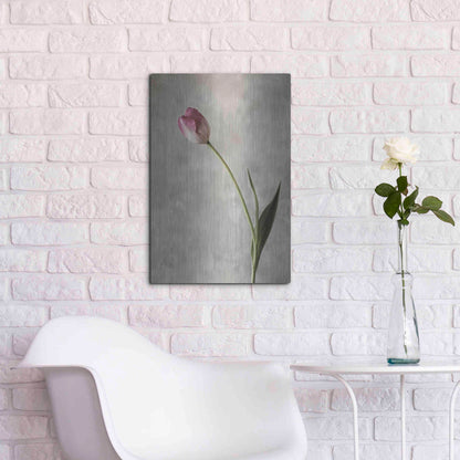Luxe Metal Art 'Fresh Tulips II' by Debra Van Swearingen, Metal Wall Art,16x24