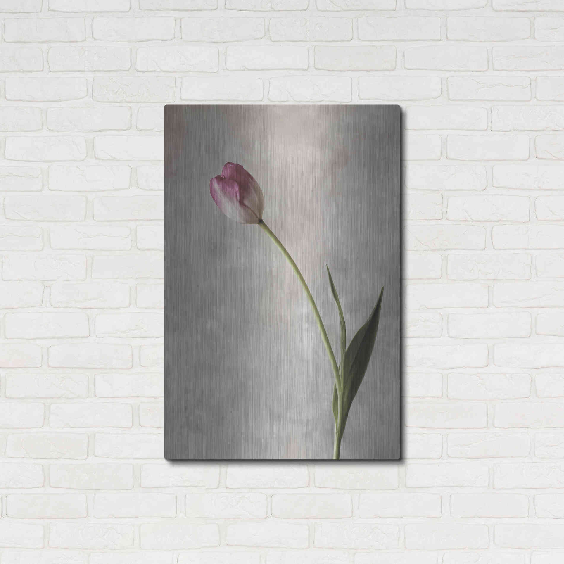 Luxe Metal Art 'Fresh Tulips II' by Debra Van Swearingen, Metal Wall Art,24x36