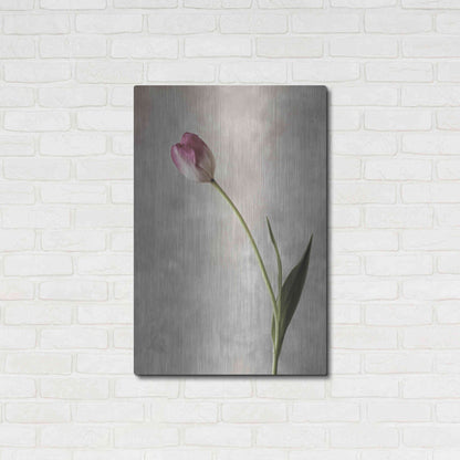 Luxe Metal Art 'Fresh Tulips II' by Debra Van Swearingen, Metal Wall Art,24x36