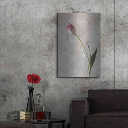 Luxe Metal Art 'Fresh Tulips II' by Debra Van Swearingen, Metal Wall Art,24x36