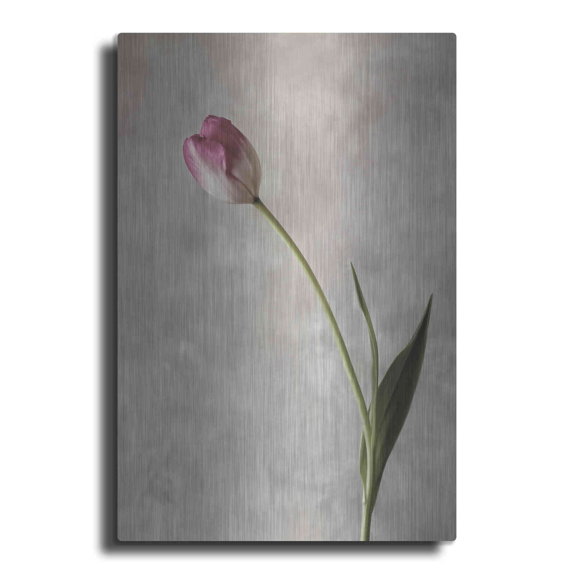 Luxe Metal Art 'Fresh Tulips II' by Debra Van Swearingen, Metal Wall Art