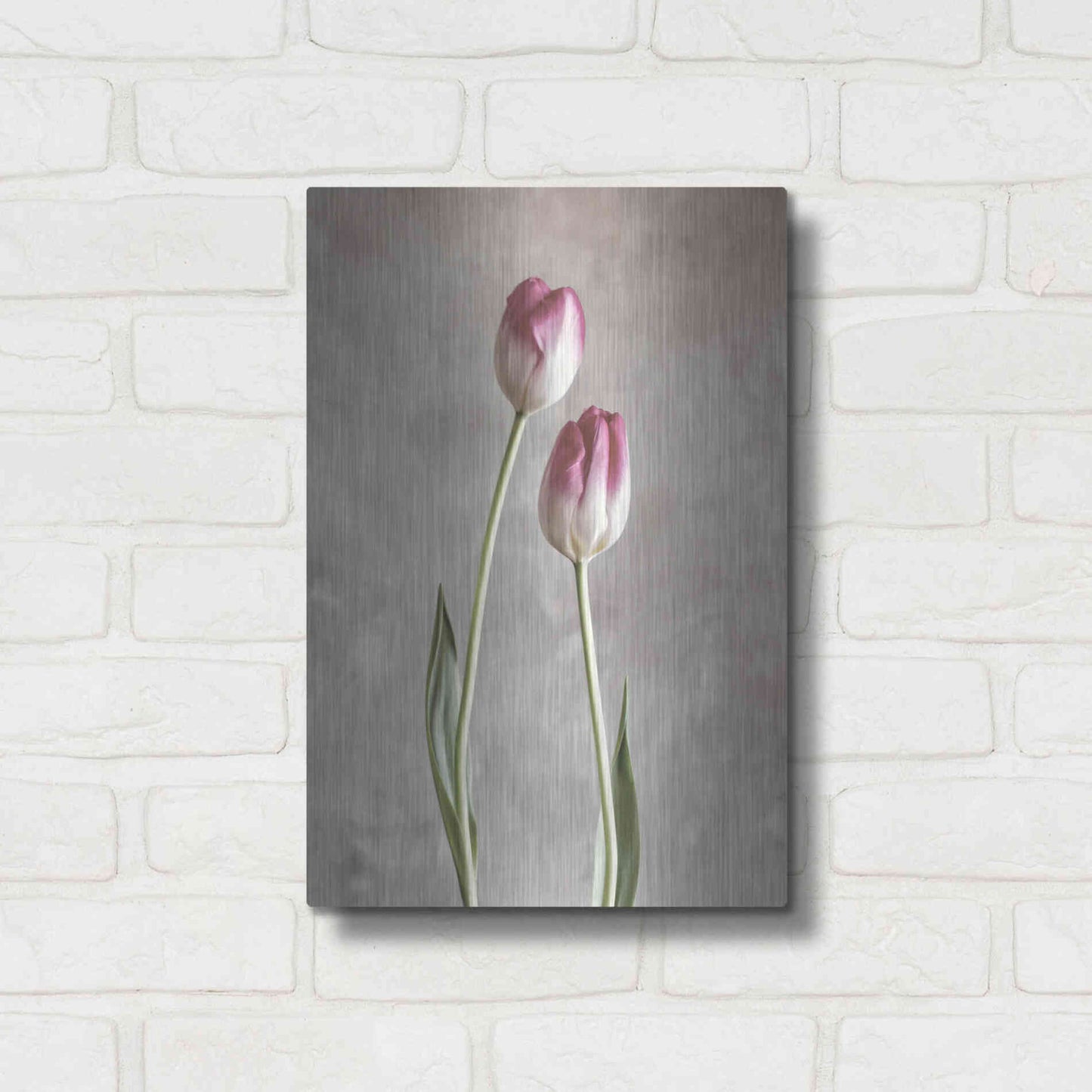 Luxe Metal Art 'Fresh Tulips III' by Debra Van Swearingen, Metal Wall Art,12x16