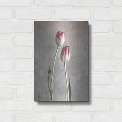 Luxe Metal Art 'Fresh Tulips III' by Debra Van Swearingen, Metal Wall Art,12x16