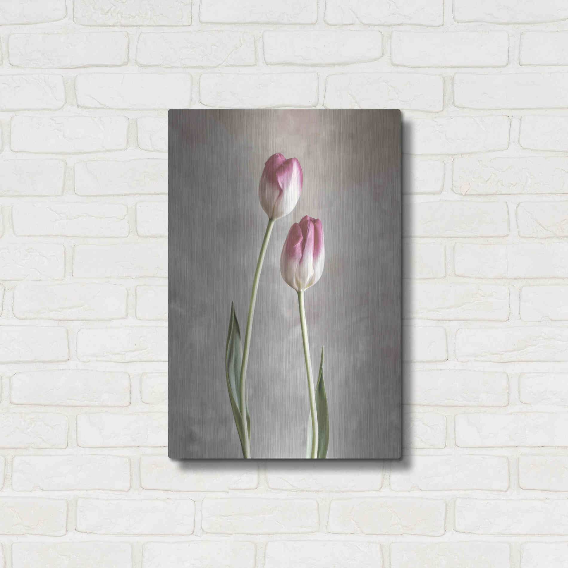 Luxe Metal Art 'Fresh Tulips III' by Debra Van Swearingen, Metal Wall Art,16x24