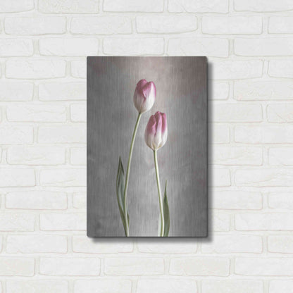 Luxe Metal Art 'Fresh Tulips III' by Debra Van Swearingen, Metal Wall Art,16x24