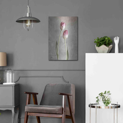 Luxe Metal Art 'Fresh Tulips III' by Debra Van Swearingen, Metal Wall Art,16x24
