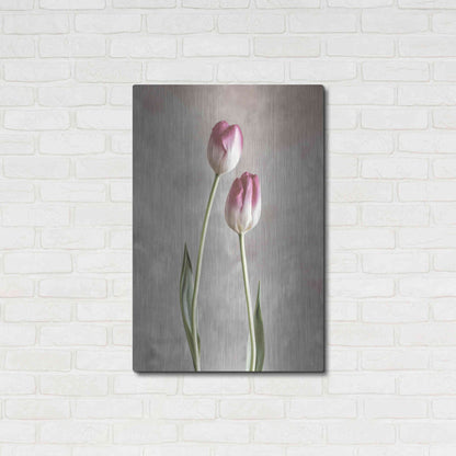 Luxe Metal Art 'Fresh Tulips III' by Debra Van Swearingen, Metal Wall Art,24x36