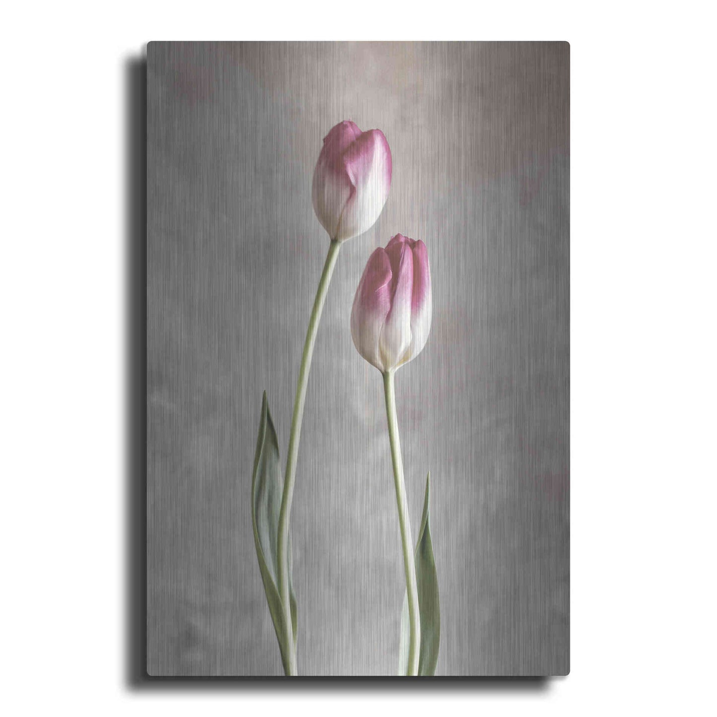 Luxe Metal Art 'Fresh Tulips III' by Debra Van Swearingen, Metal Wall Art