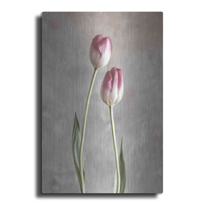 Luxe Metal Art 'Fresh Tulips III' by Debra Van Swearingen, Metal Wall Art