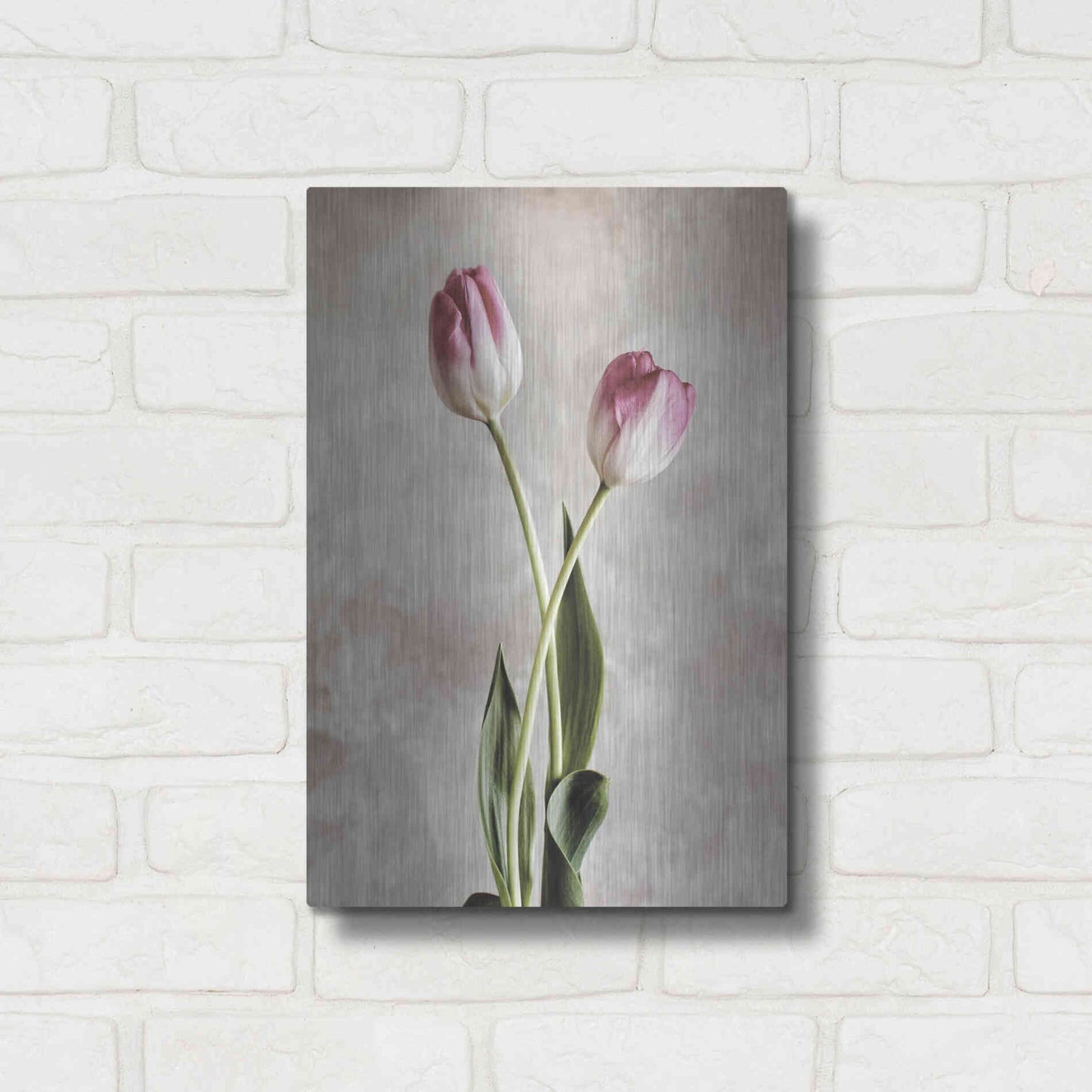 Luxe Metal Art 'Fresh Tulips IV' by Debra Van Swearingen, Metal Wall Art,12x16