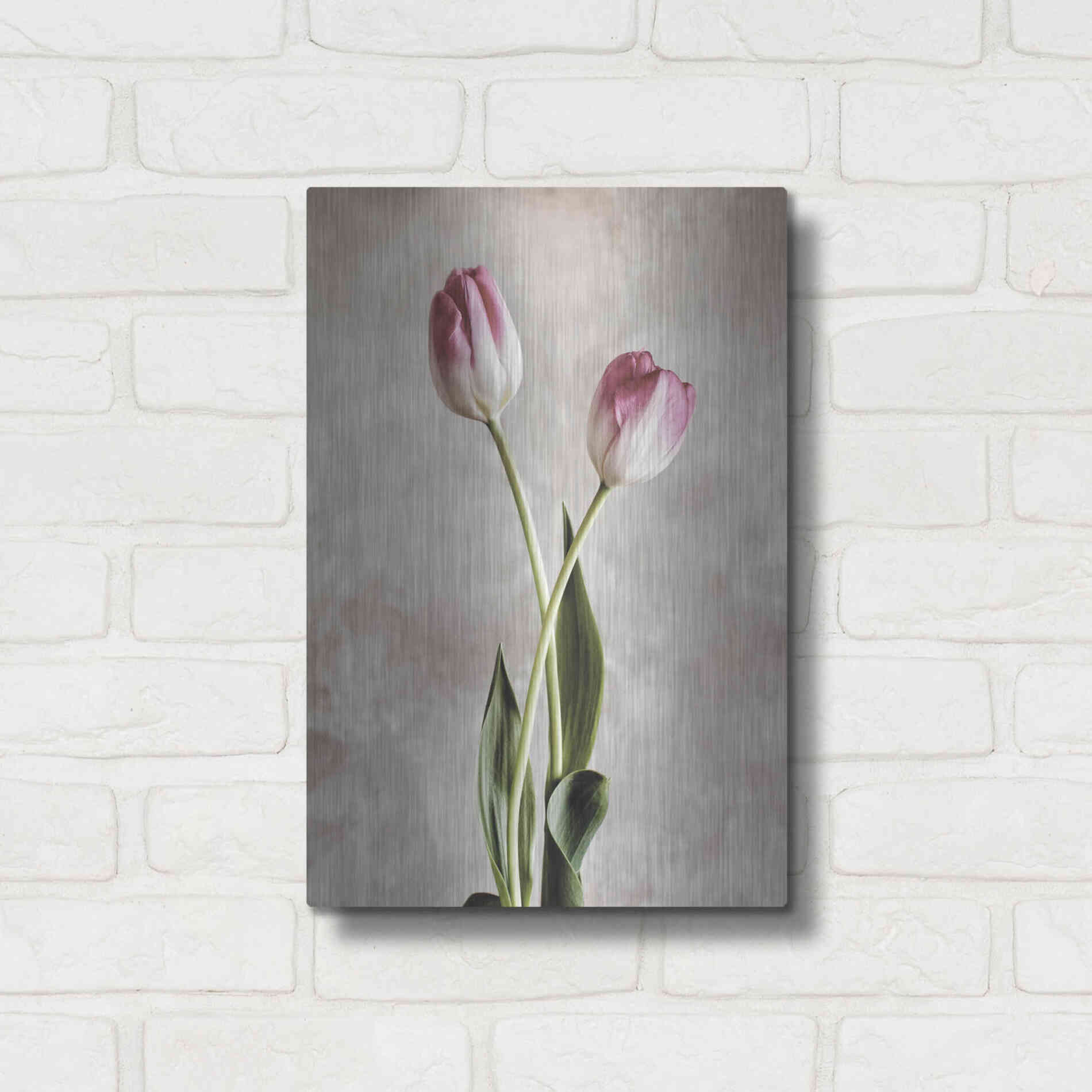 Luxe Metal Art 'Fresh Tulips IV' by Debra Van Swearingen, Metal Wall Art,12x16