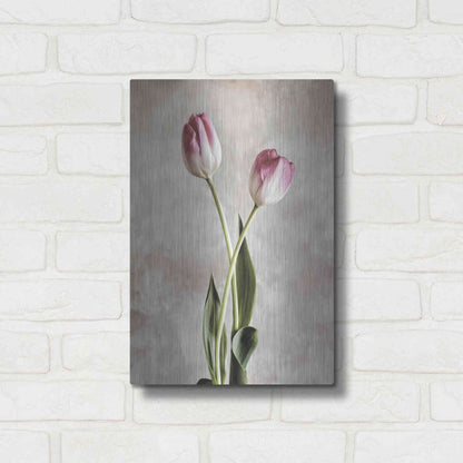 Luxe Metal Art 'Fresh Tulips IV' by Debra Van Swearingen, Metal Wall Art,12x16