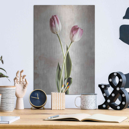 Luxe Metal Art 'Fresh Tulips IV' by Debra Van Swearingen, Metal Wall Art,12x16