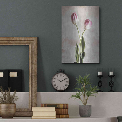 Luxe Metal Art 'Fresh Tulips IV' by Debra Van Swearingen, Metal Wall Art,12x16