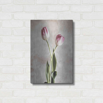 Luxe Metal Art 'Fresh Tulips IV' by Debra Van Swearingen, Metal Wall Art,16x24