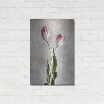 Luxe Metal Art 'Fresh Tulips IV' by Debra Van Swearingen, Metal Wall Art,24x36