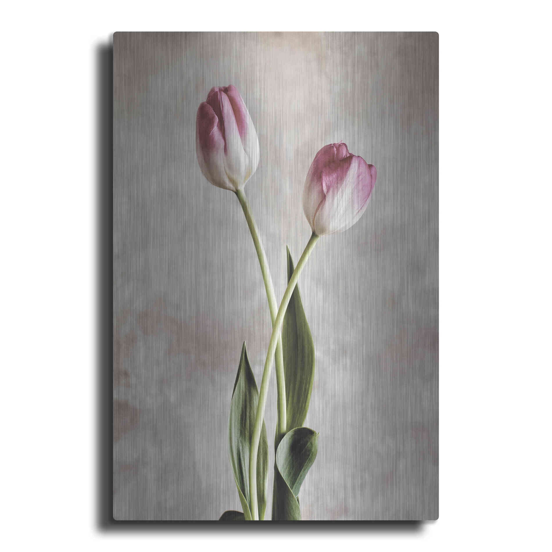 Luxe Metal Art 'Fresh Tulips IV' by Debra Van Swearingen, Metal Wall Art