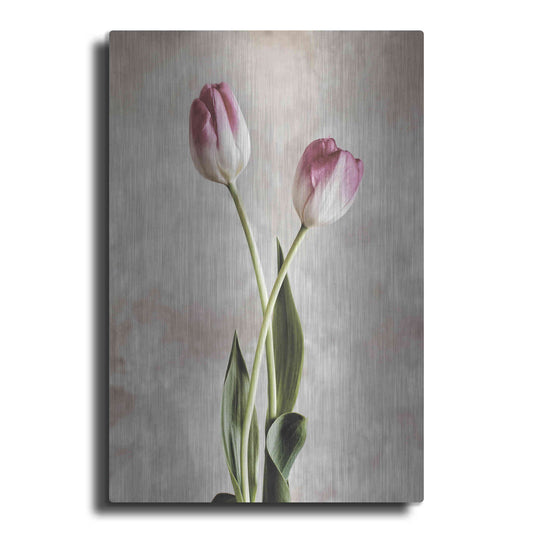 Luxe Metal Art 'Fresh Tulips IV' by Debra Van Swearingen, Metal Wall Art