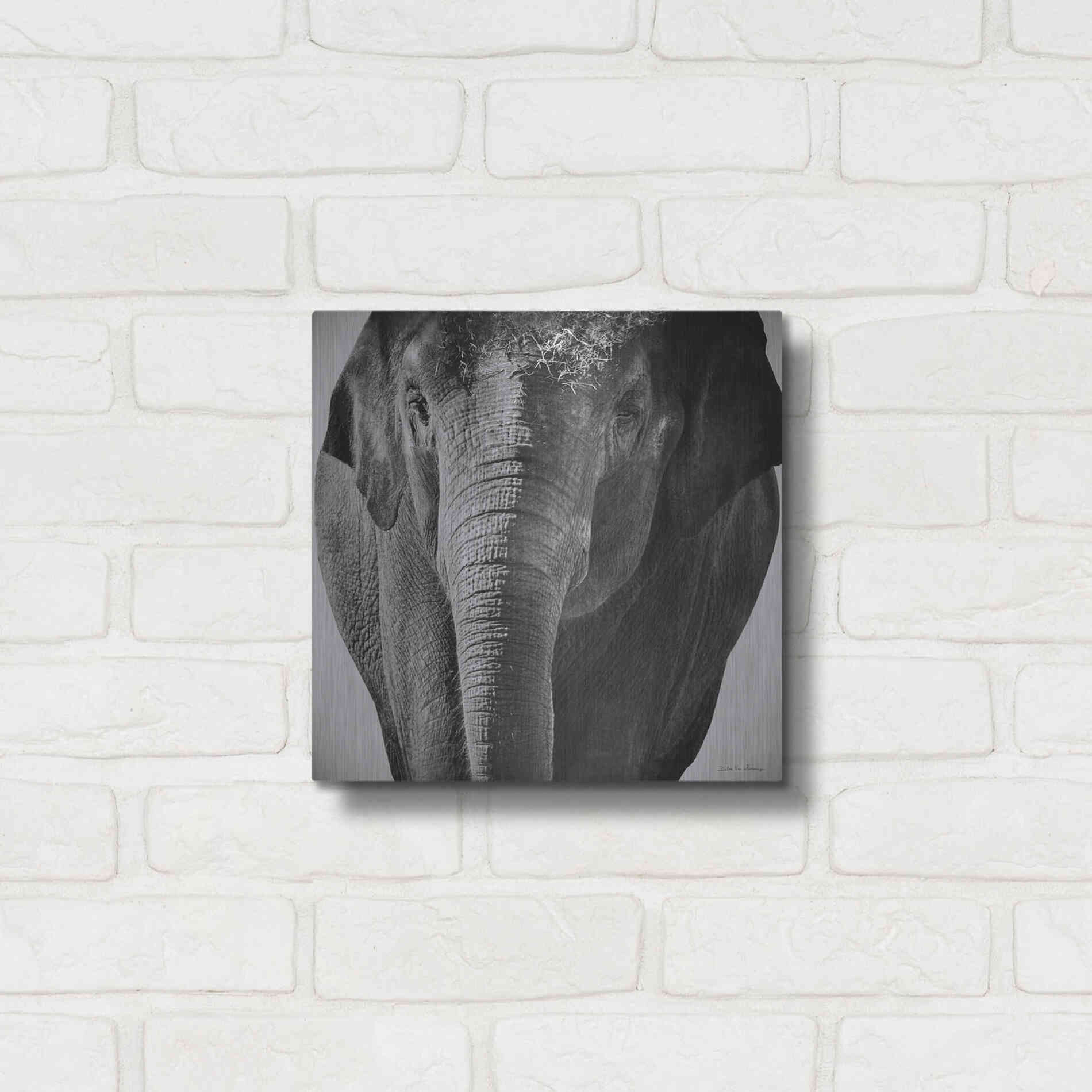 Luxe Metal Art 'Elephant I' by Debra Van Swearingen, Metal Wall Art,12x12