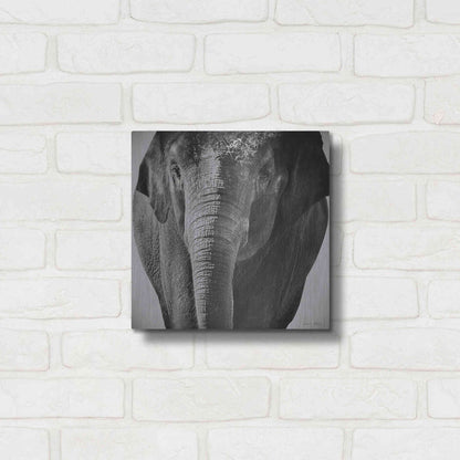 Luxe Metal Art 'Elephant I' by Debra Van Swearingen, Metal Wall Art,12x12