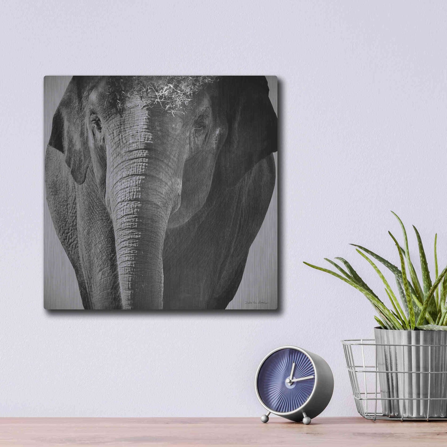 Luxe Metal Art 'Elephant I' by Debra Van Swearingen, Metal Wall Art,12x12