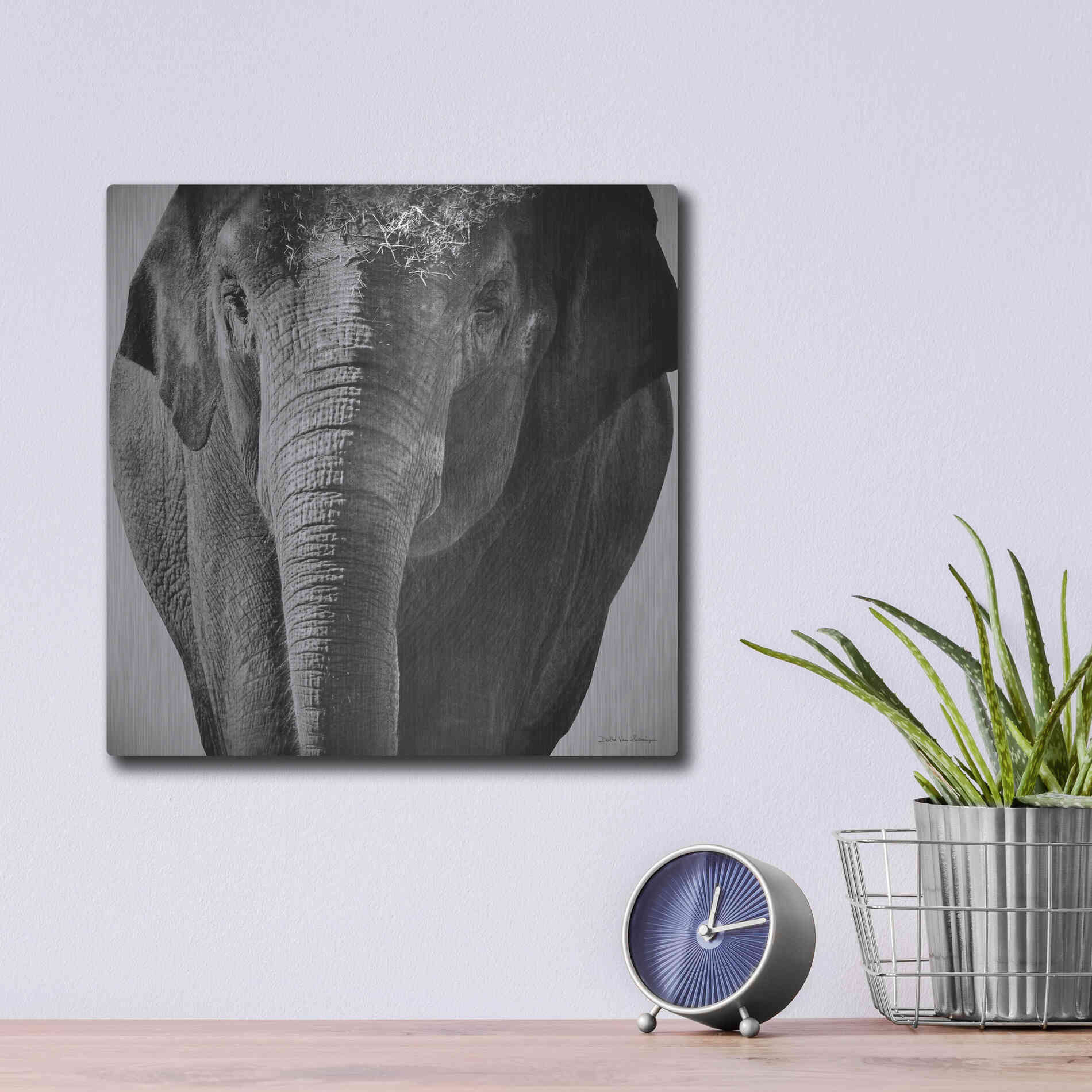 Luxe Metal Art 'Elephant I' by Debra Van Swearingen, Metal Wall Art,12x12