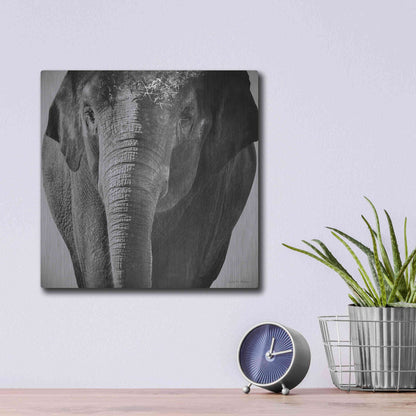 Luxe Metal Art 'Elephant I' by Debra Van Swearingen, Metal Wall Art,12x12