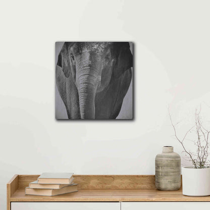 Luxe Metal Art 'Elephant I' by Debra Van Swearingen, Metal Wall Art,12x12