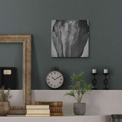 Luxe Metal Art 'Elephant I' by Debra Van Swearingen, Metal Wall Art,12x12