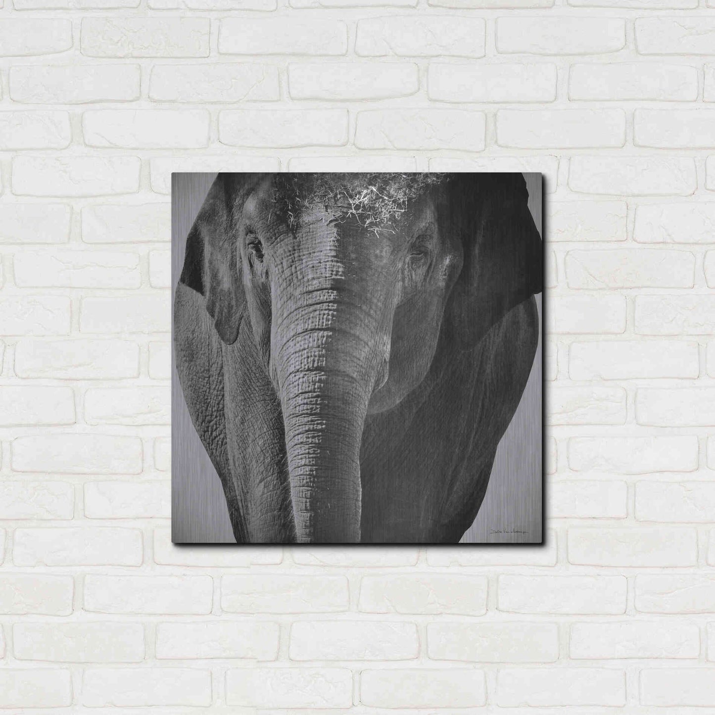 Luxe Metal Art 'Elephant I' by Debra Van Swearingen, Metal Wall Art,24x24